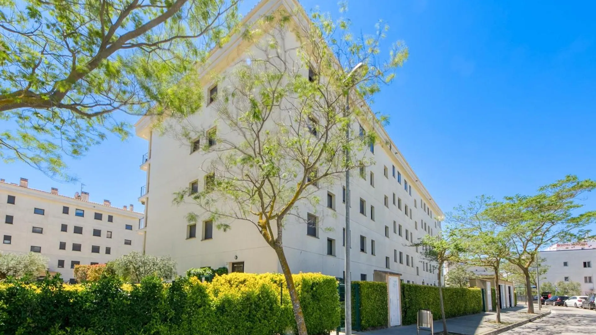Bright Apartment In Nature Roses