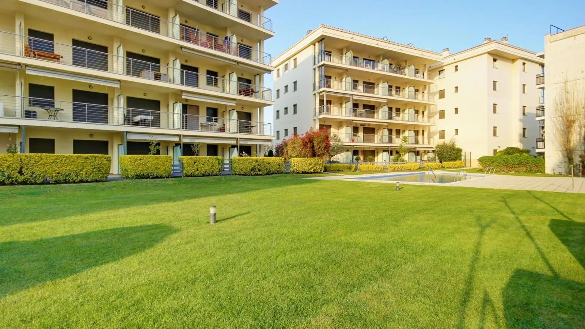 Bright Apartment In Nature Roses
